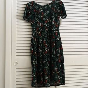 Nwt lularoe amelia